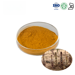Cistanche Tubulosa Extract