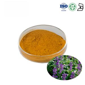 Coleus Forskohlii Extract