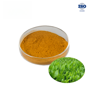 Alisma Extract