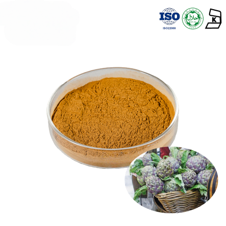 Artichoke Extract