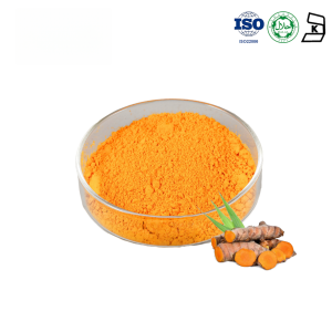 Curcumin 95%