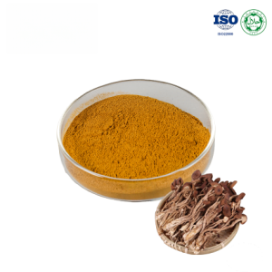 Agrocybe Aegerita Extract