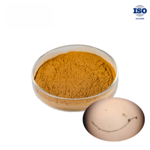 Cordyceps Powder