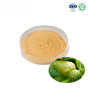 Noni Fruit Powder