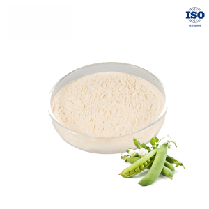 Pea Protein