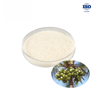 Coconut Water Powder