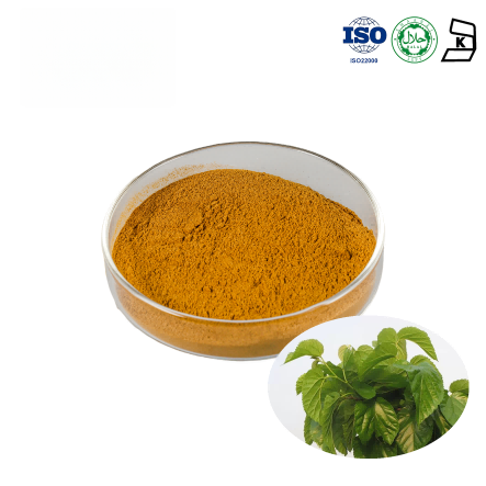 Mulberry Leaf Extract