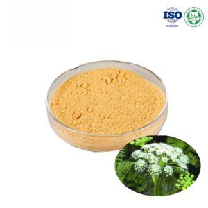 Angelica Extract