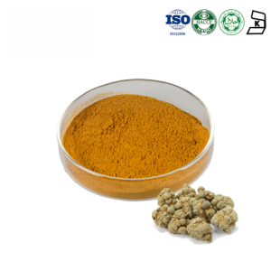 Notoinseng Extract
