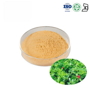 Andrographis Extract