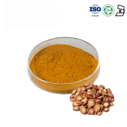 Salvia Miltiorrhiza Extract
