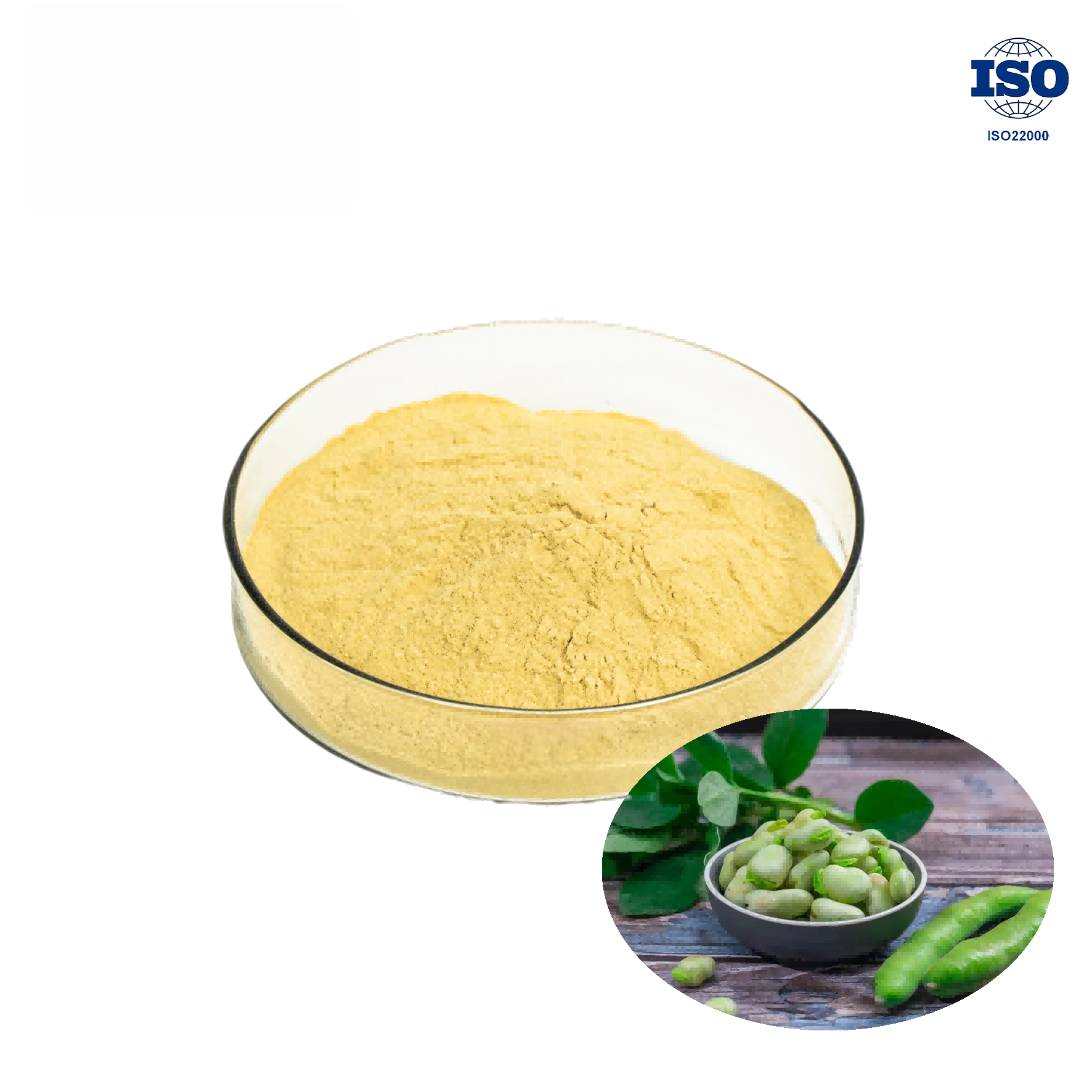 Broad Bean Protein Powder