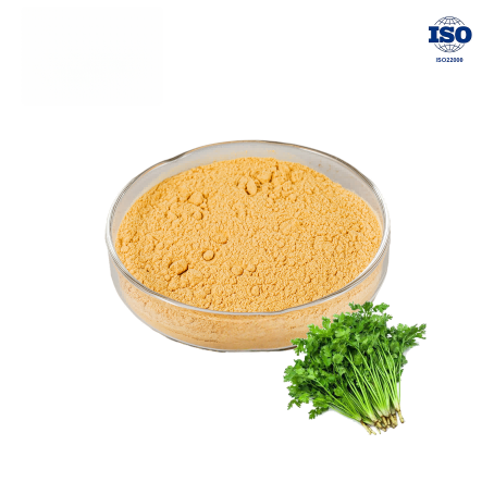 Coriander Seed Powder