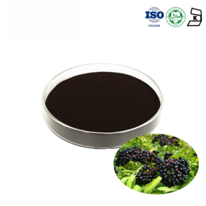 Elderberry (Sambucus) Fruit Extract