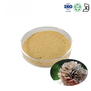 Maitake Mushroom Extract