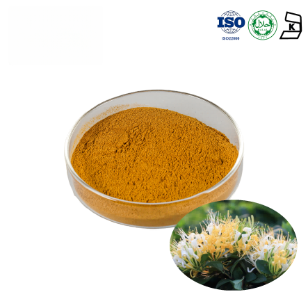 Honeysuckle Flower Extract