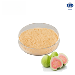 Guava Fruit Powder