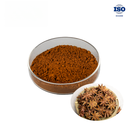 Star Anise Powder