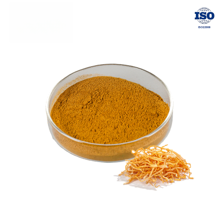 Cordyceps Militaris Powder
