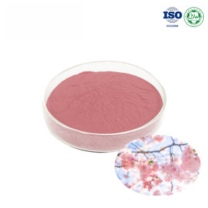 Sakura Flower Extract