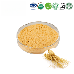 Organic Panax Ginseng Root Extract