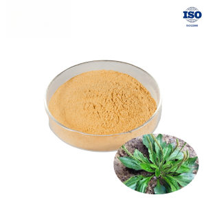 Semen Plantaginis Extract