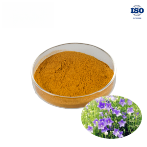 Balloon Flower Extract