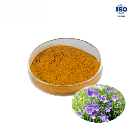 Balloon Flower Extract
