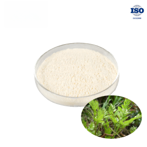 Dihydromyricetin 90%