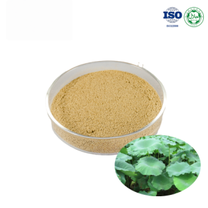 Lotus Leaf Extract