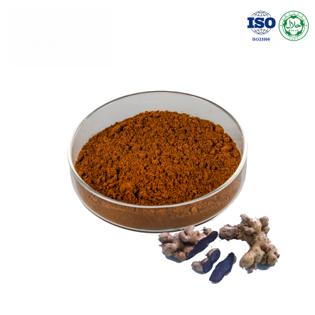 Black Ginger Extract