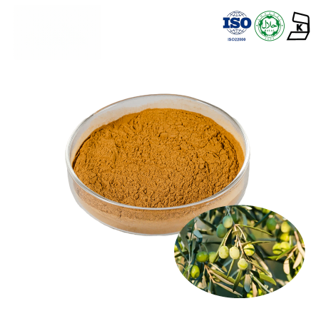 Olive Leaf Extract