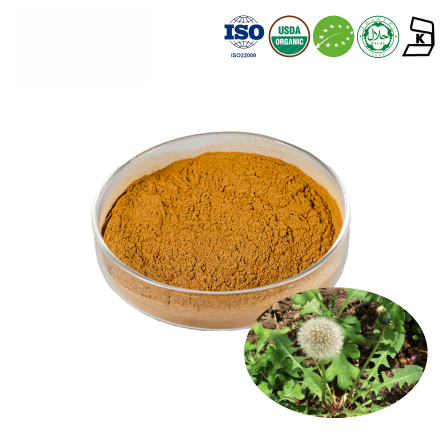 Organic Mongolian Dandelion Herb Extract