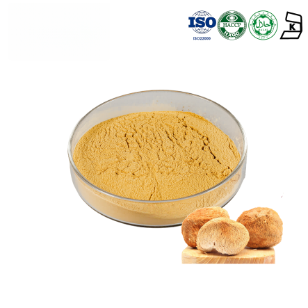 Lion's Mane Mushroom Extract