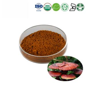 Oragnic Reishi Mushroom Extract