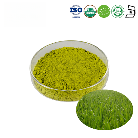 Organic Barley Grass Powder