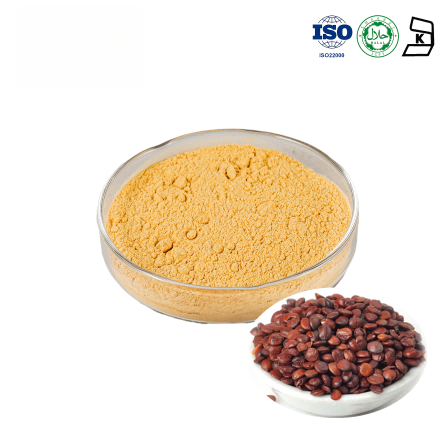 Zizyphus Jujuba Extract