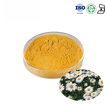 Chrysanthemum Extract