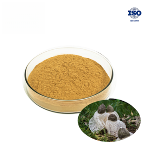 Bamboo Fungus Extract
