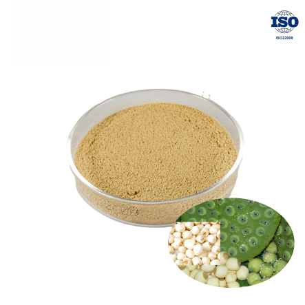 Lotus Seed Extract