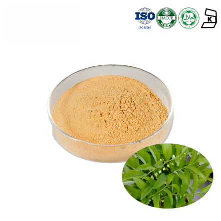 Solomons Seal Root Extract