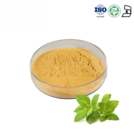 Lemon Balm Extract