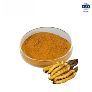 Cordyceps Cephalosporium mycelia Powder