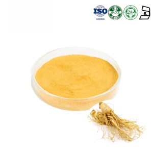 Panax Ginseng Extract
