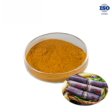 Sugarcane Extract