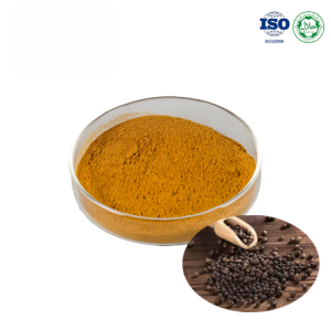 Black Pepper Powder