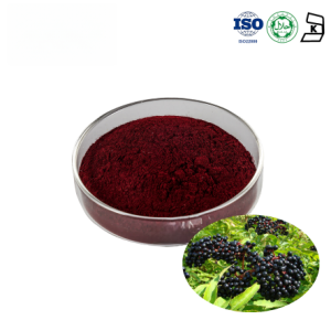 Elderberry SD Powder