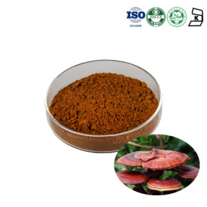 Reishi Mushroom Extract
