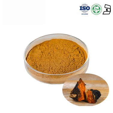 Chaga Mushroom Extract