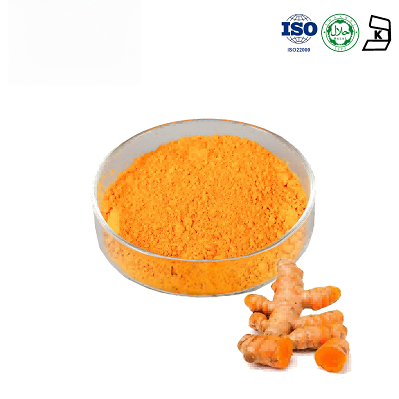Turmeric Extract Curcumin 95%